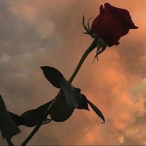 Meet your Posher, Isabel